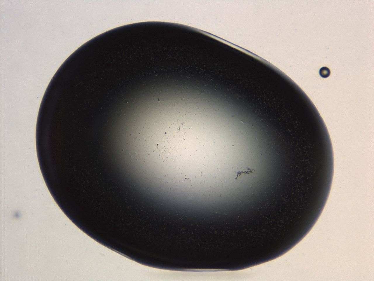 04ev_B2_ImagerDefaults_0.jpg