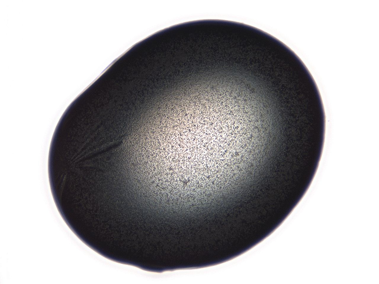 04ev_B5_ImagerDefaults_3.jpg