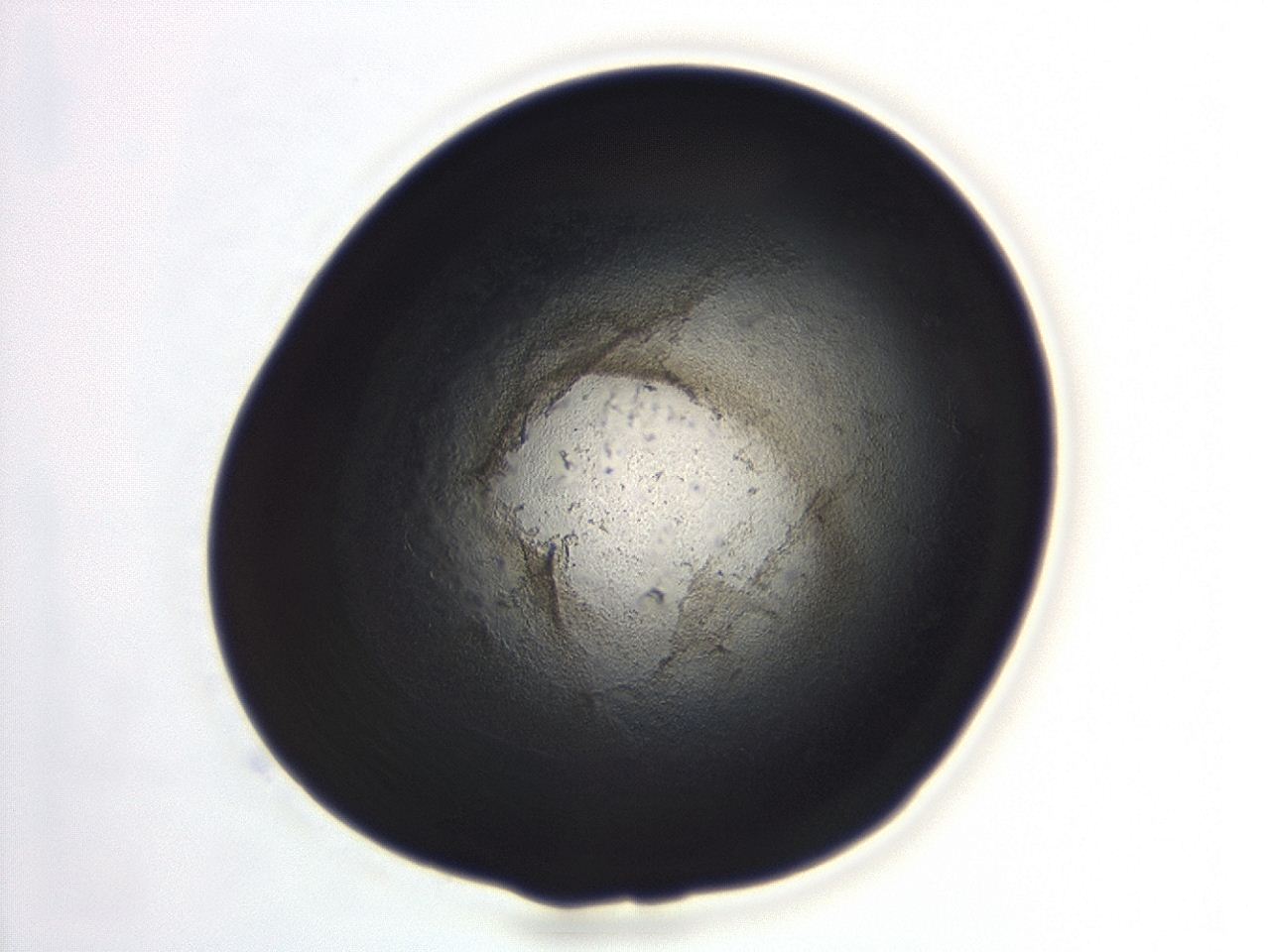 04ev_B11_ImagerDefaults_3.jpg