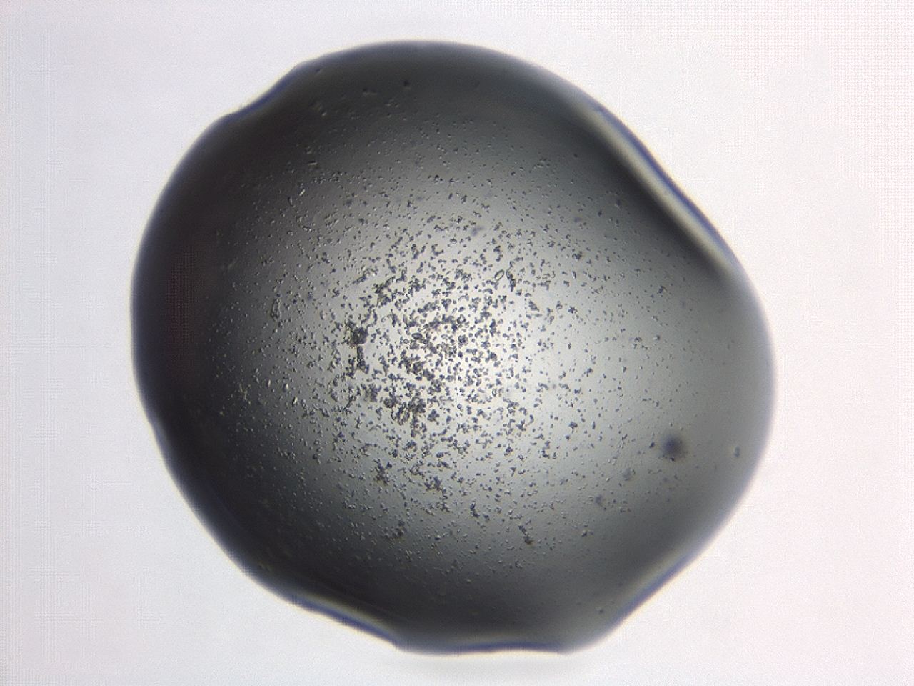 04ev_B12_ImagerDefaults_3.jpg