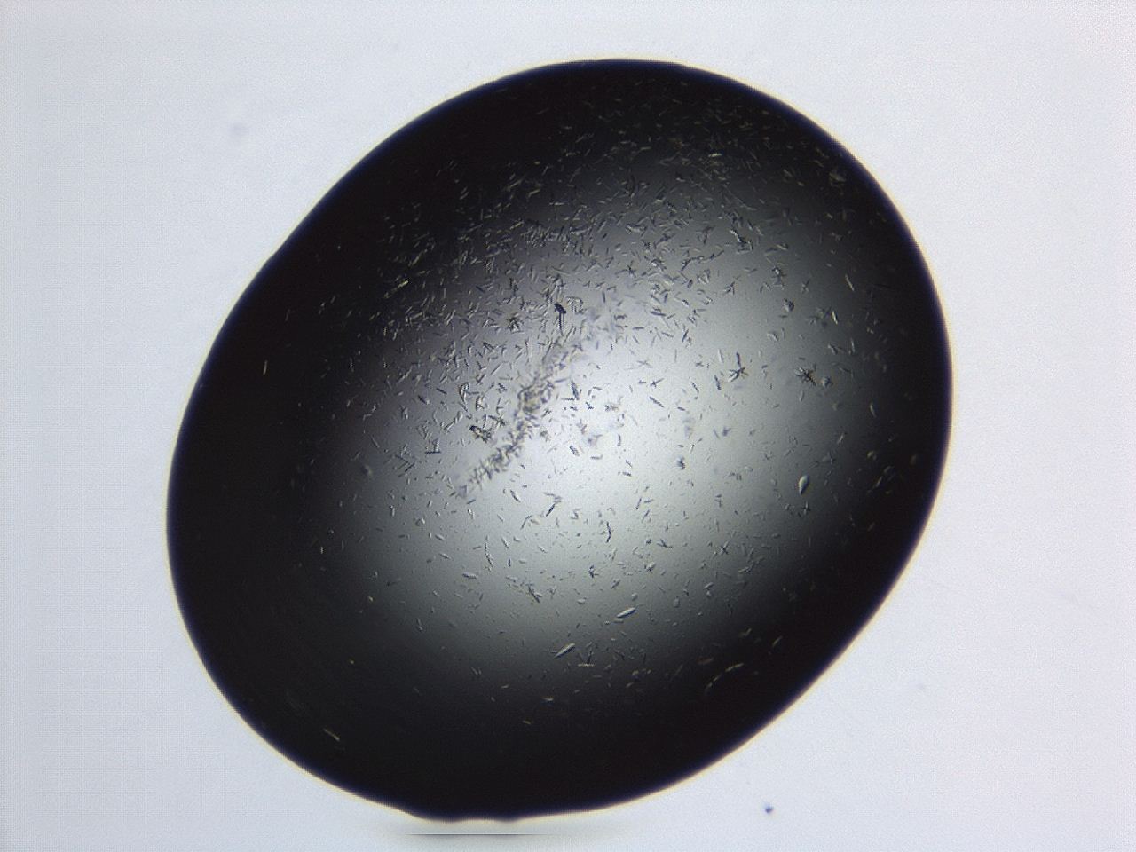 04ev_C5_ImagerDefaults_8.jpg