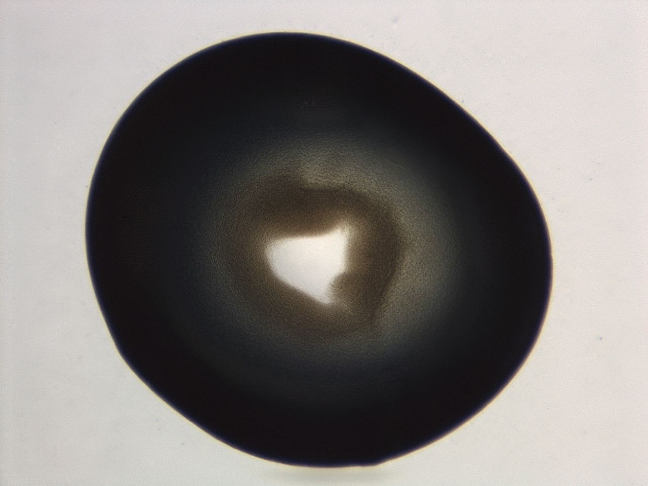 04ev_D4_ImagerDefaults_3.jpg