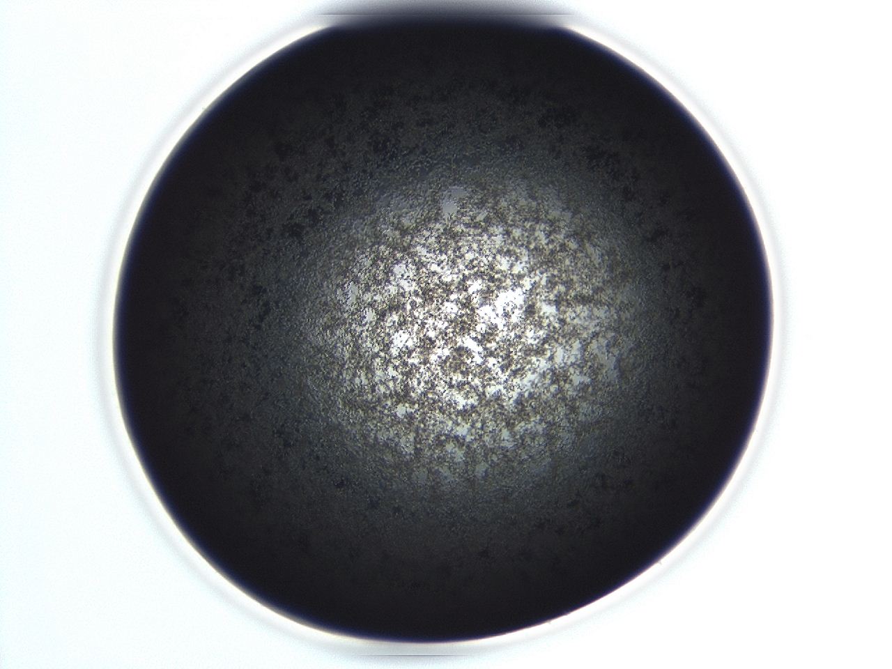 04ev_D10_ImagerDefaults_3.jpg