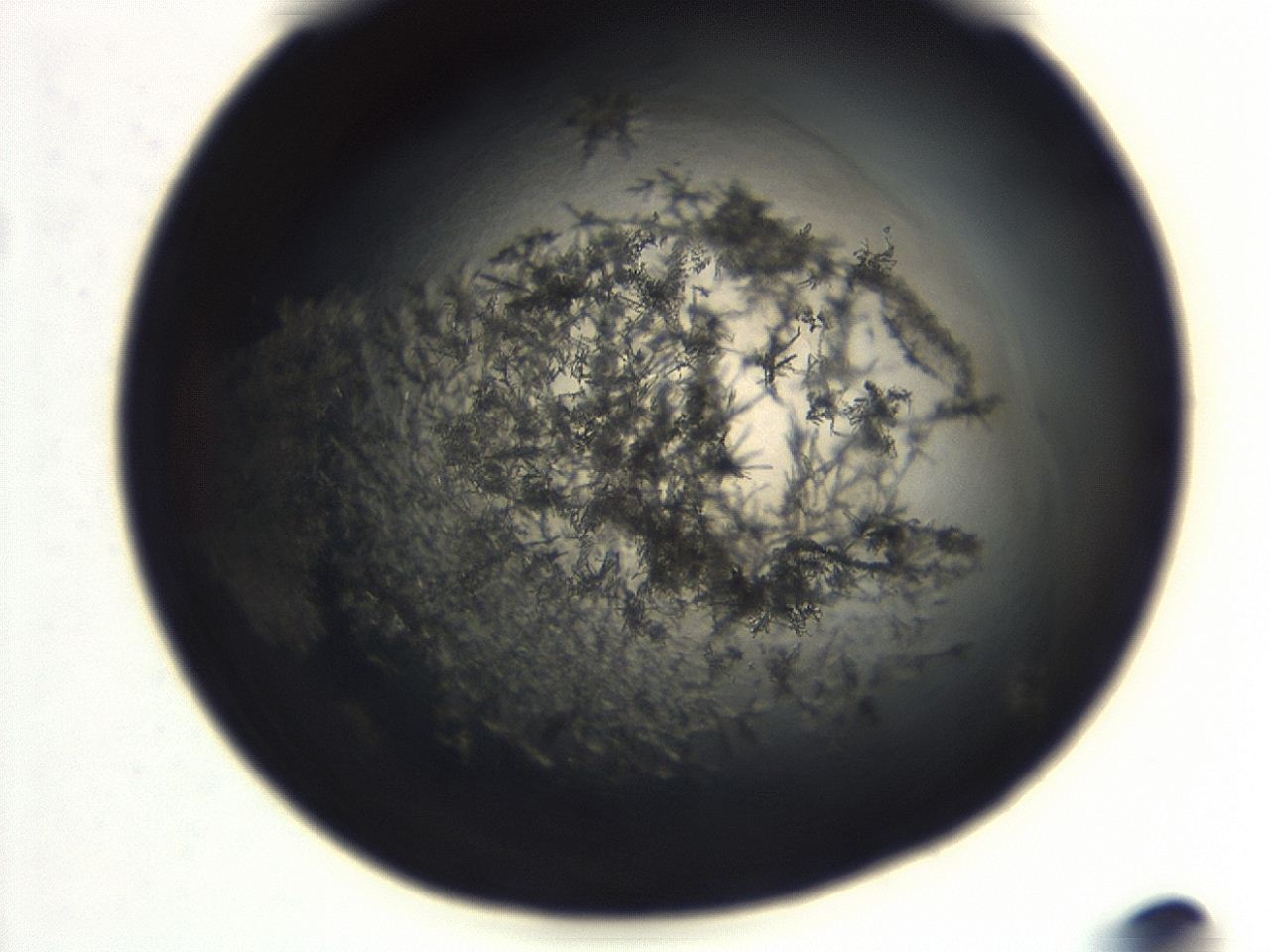 04ev_E1_ImagerDefaults_8.jpg