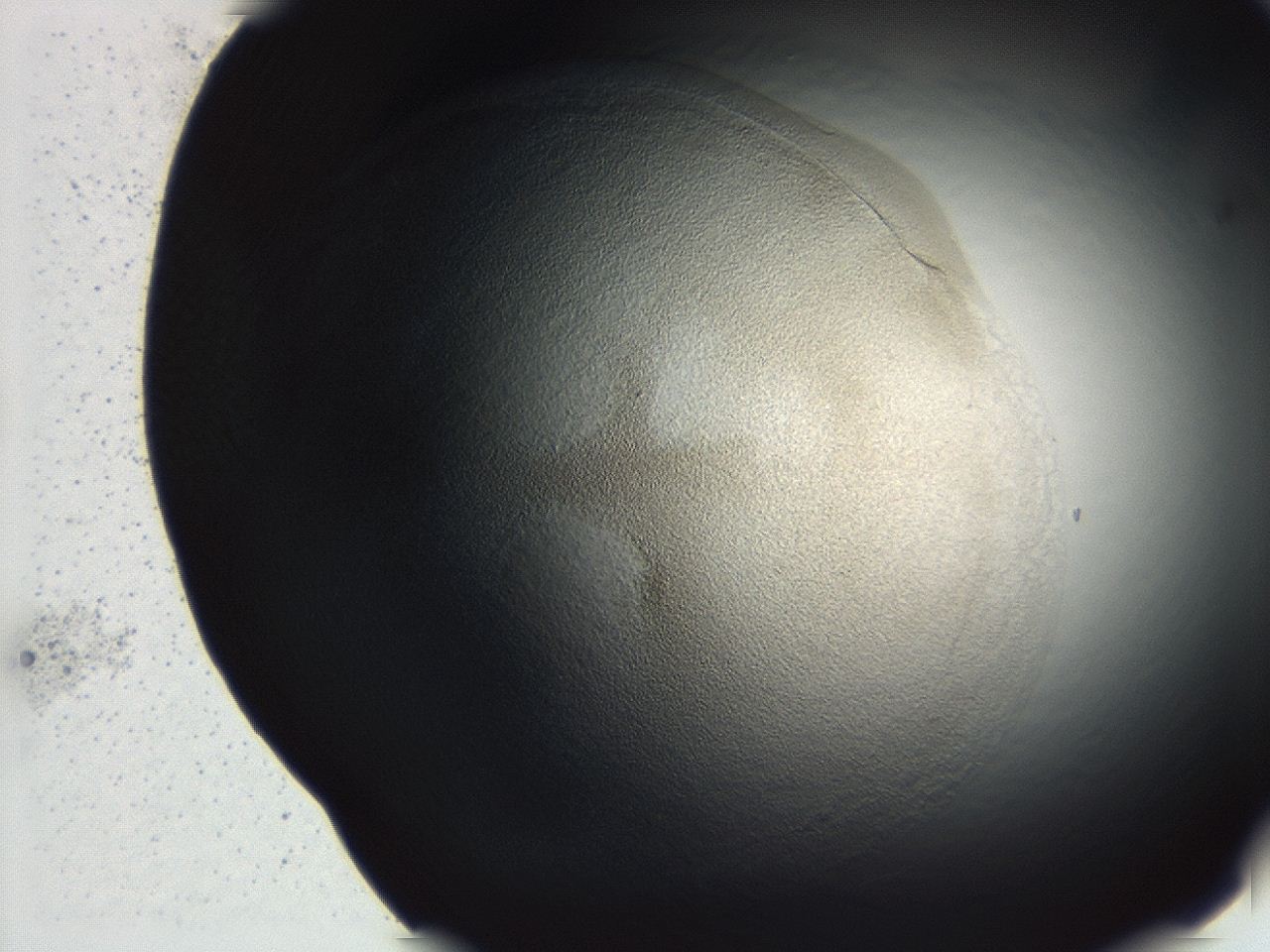 04ev_E5_ImagerDefaults_3.jpg