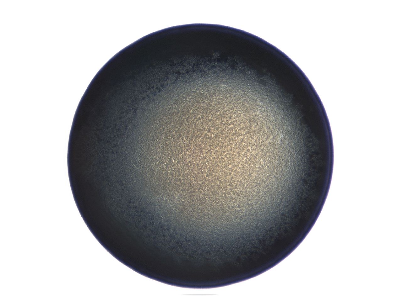 04ev_E8_ImagerDefaults_3.jpg