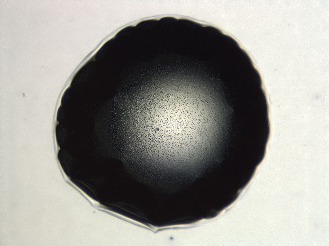 04ev_E11_ImagerDefaults_0.jpg