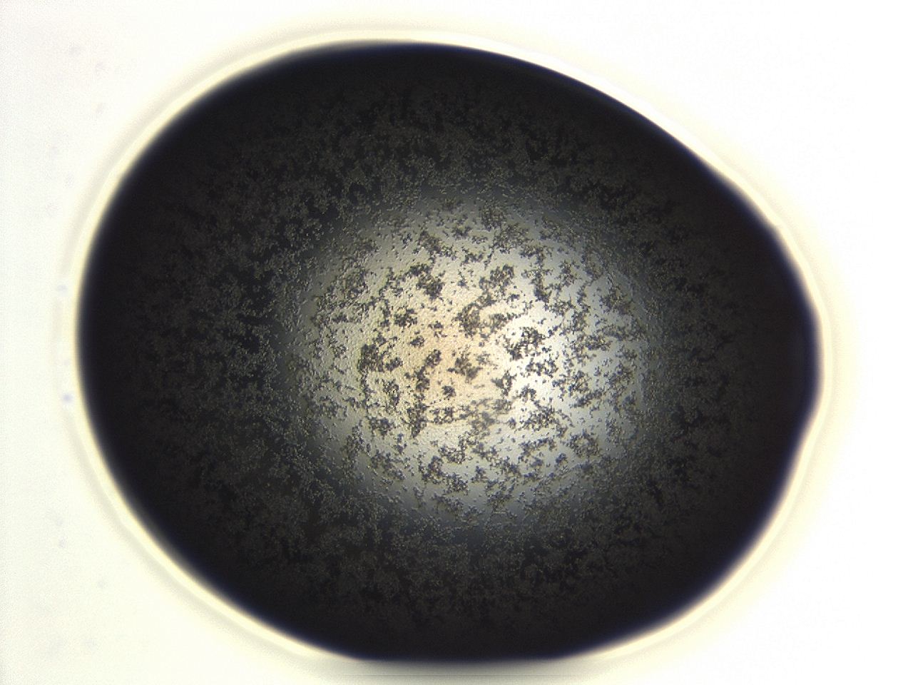 04ev_F1_ImagerDefaults_3.jpg