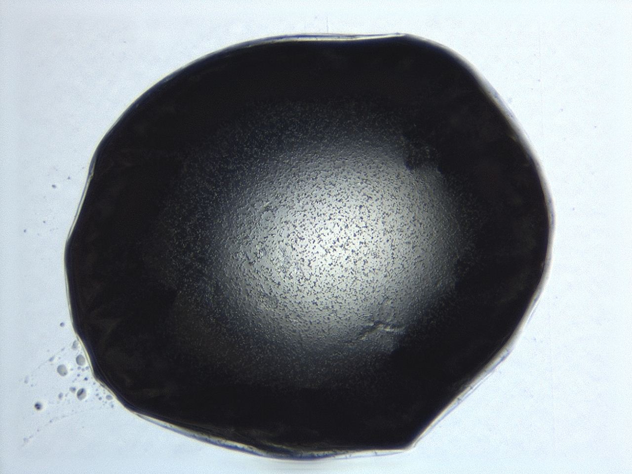 04ev_F6_ImagerDefaults_3.jpg