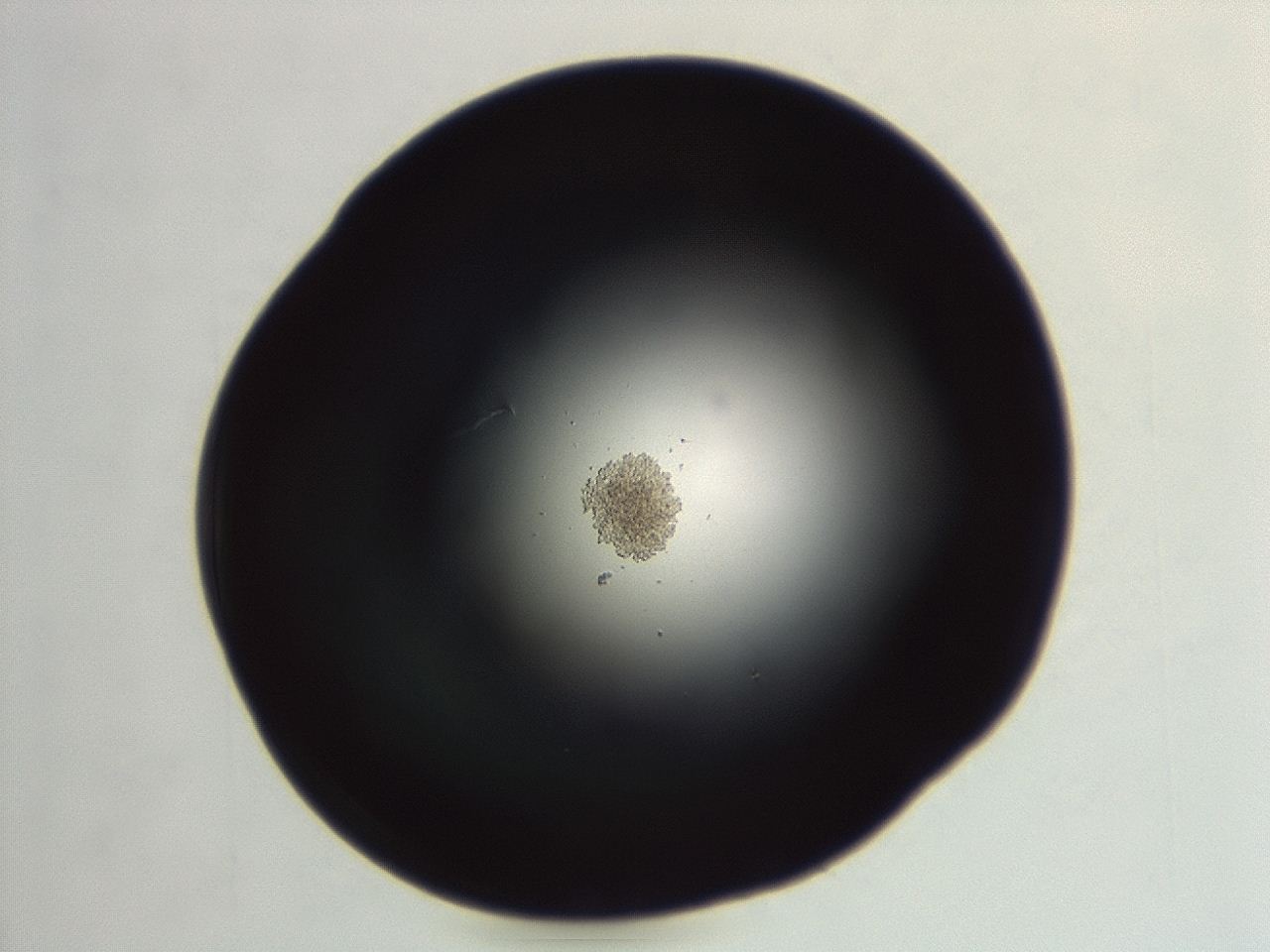 04ev_F9_ImagerDefaults_0.jpg