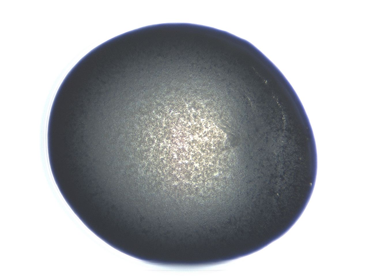 04ev_F10_ImagerDefaults_3.jpg