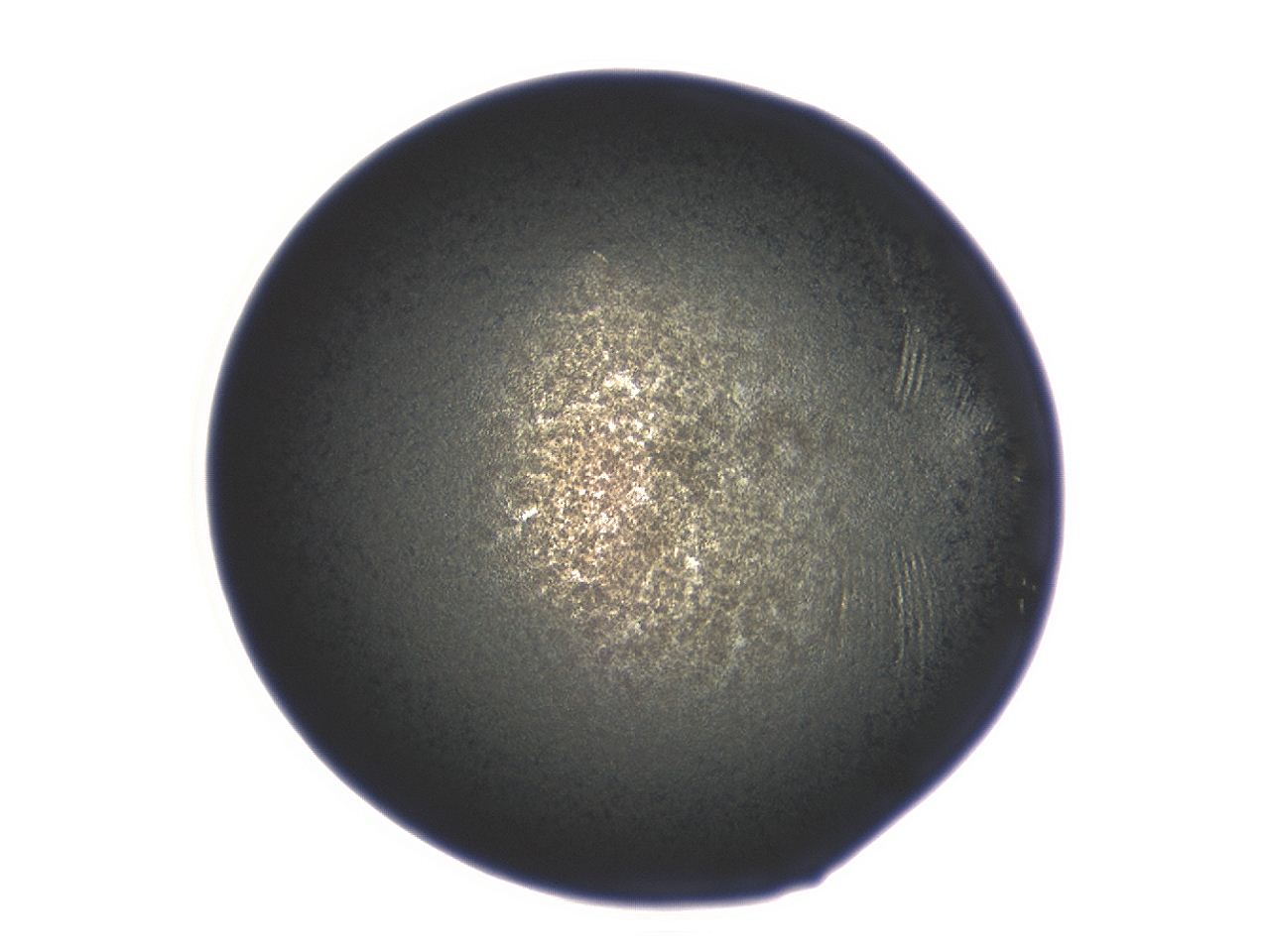 04ev_F11_ImagerDefaults_3.jpg