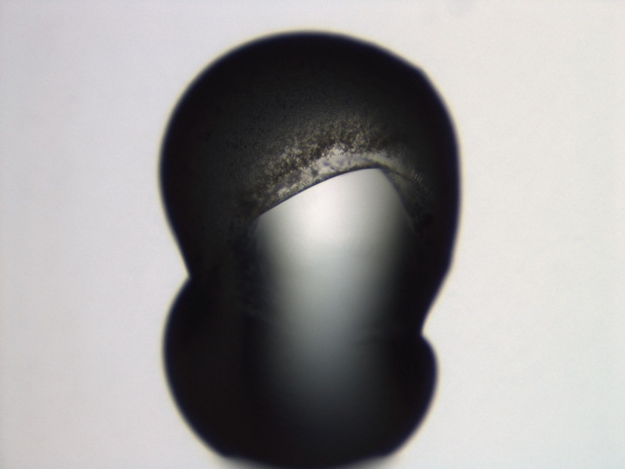 04ev_F12_ImagerDefaults_3.jpg