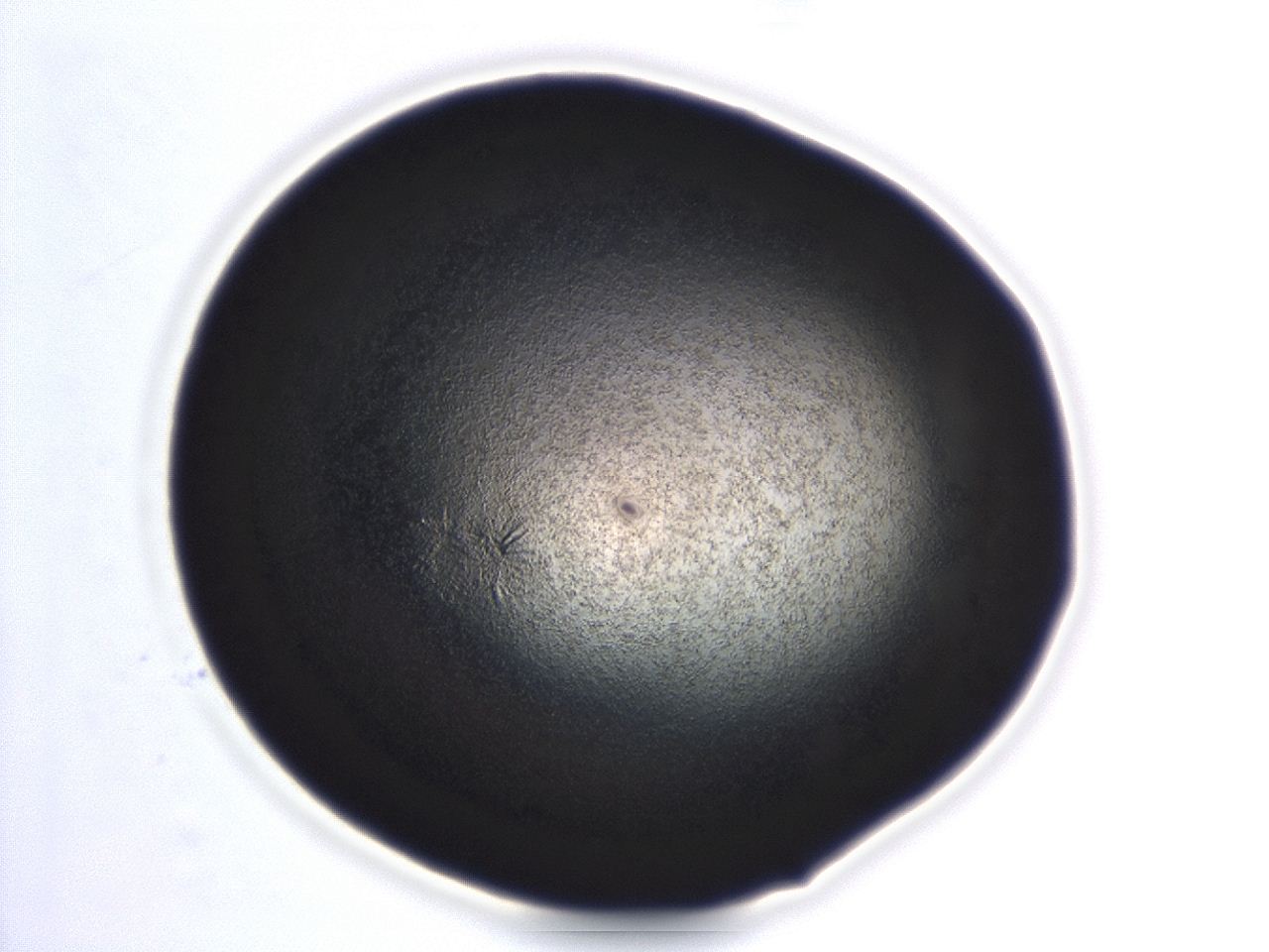04ev_G3_ImagerDefaults_3.jpg
