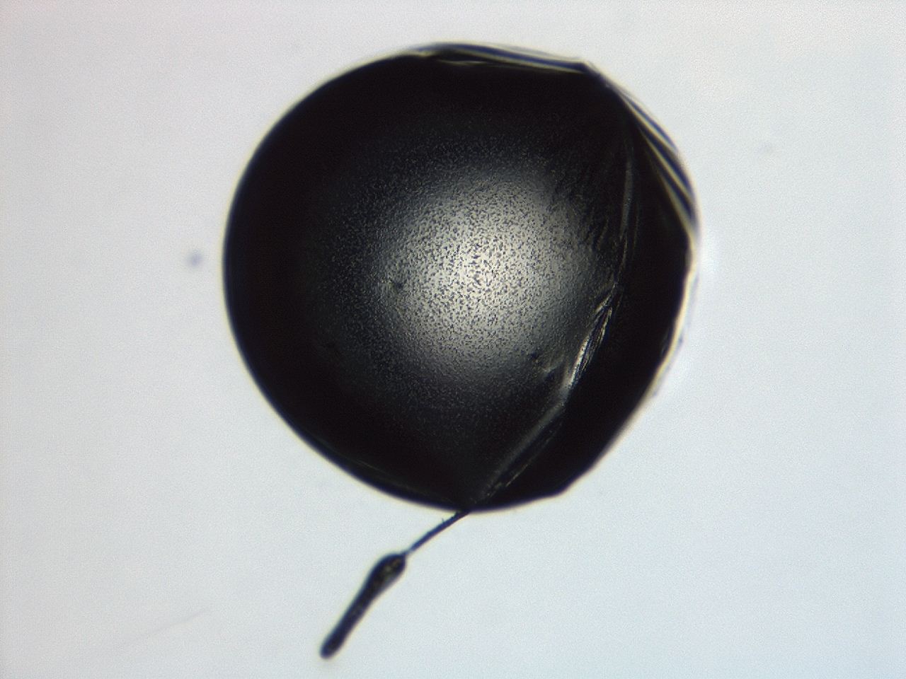 04ev_G5_ImagerDefaults_3.jpg