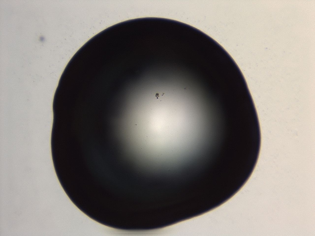 04ev_G8_ImagerDefaults_0.jpg