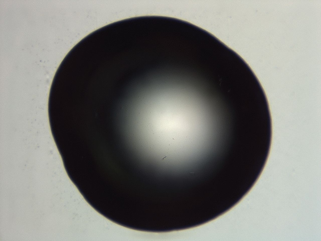 04ev_G9_ImagerDefaults_0.jpg