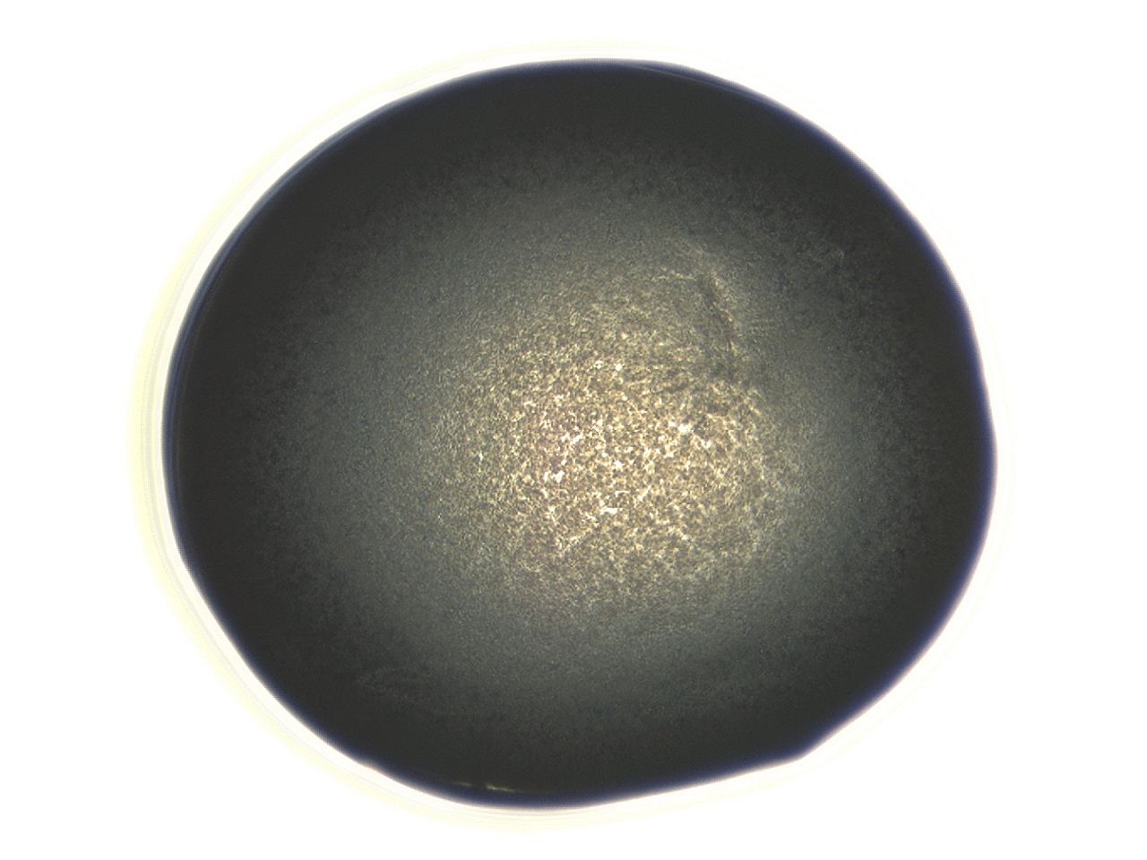 04ev_G10_ImagerDefaults_3.jpg