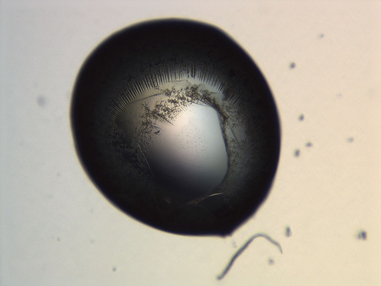 04ev_G12_ImagerDefaults_3.jpg
