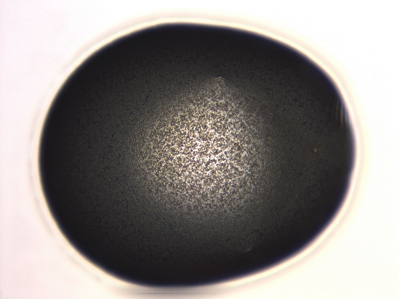 04ev_H2_ImagerDefaults_3.jpg