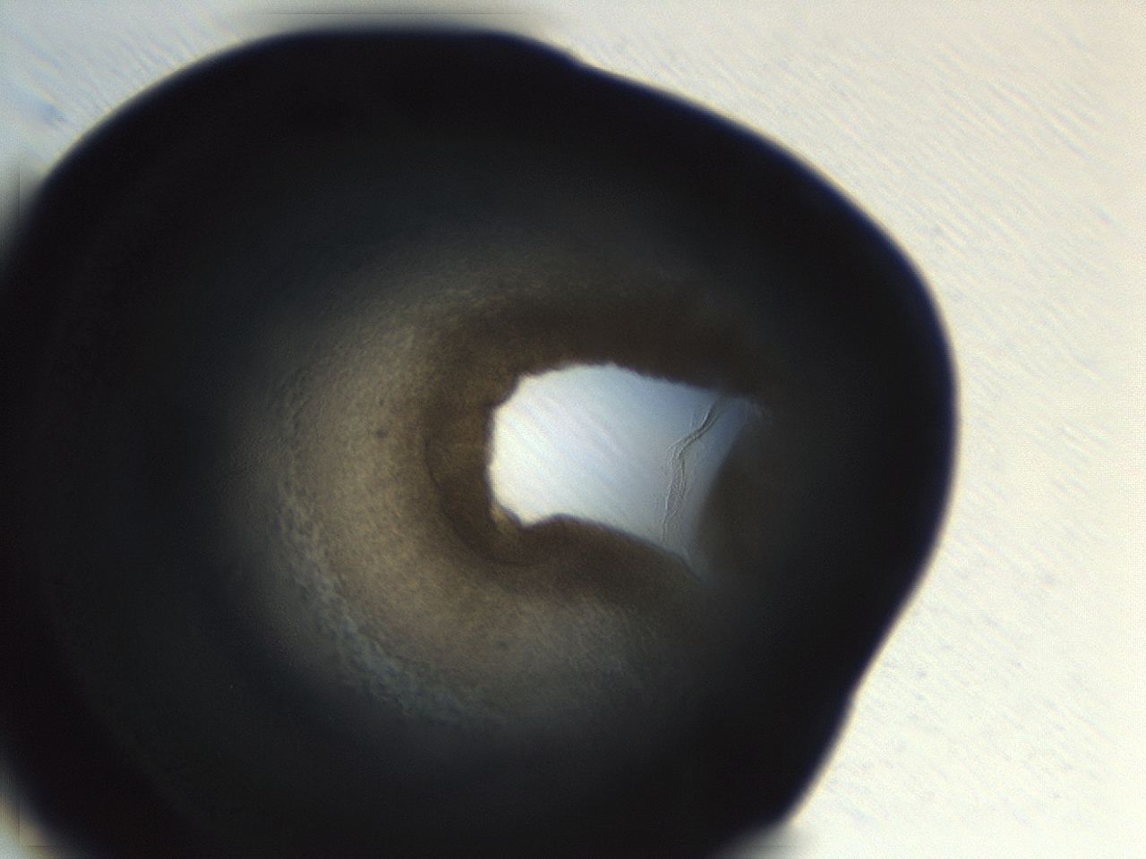 04ev_H9_ImagerDefaults_3.jpg