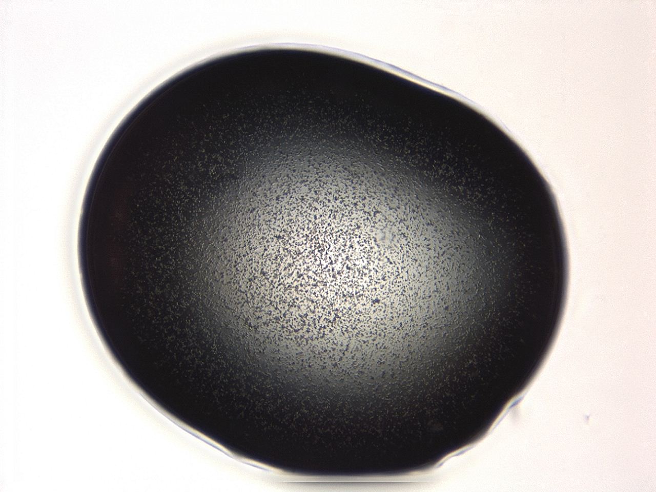 04ew_A4_ImagerDefaults_3.jpg