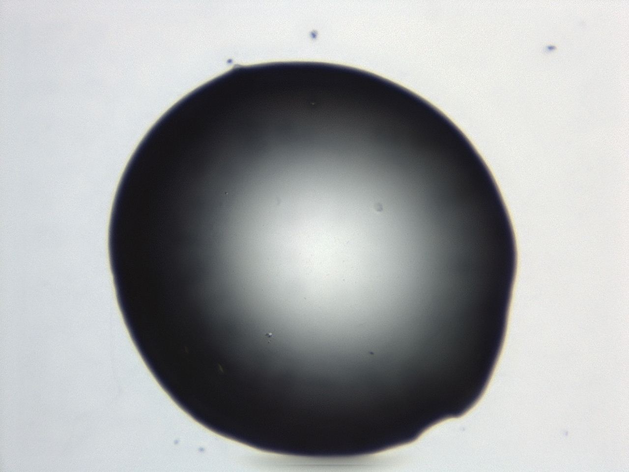 04ew_C9_ImagerDefaults_0.jpg