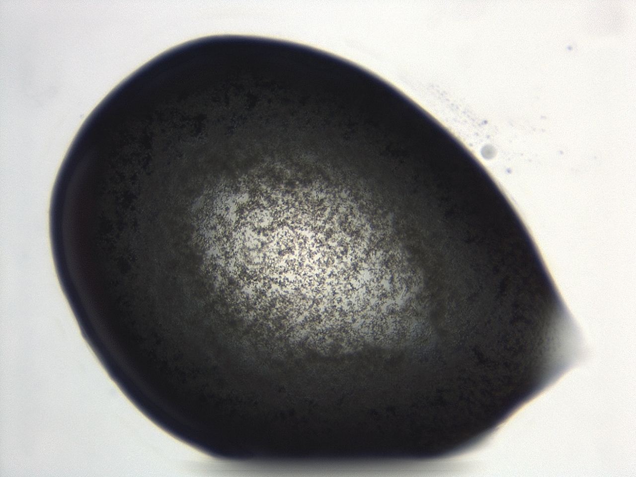 04ew_C11_ImagerDefaults_3.jpg