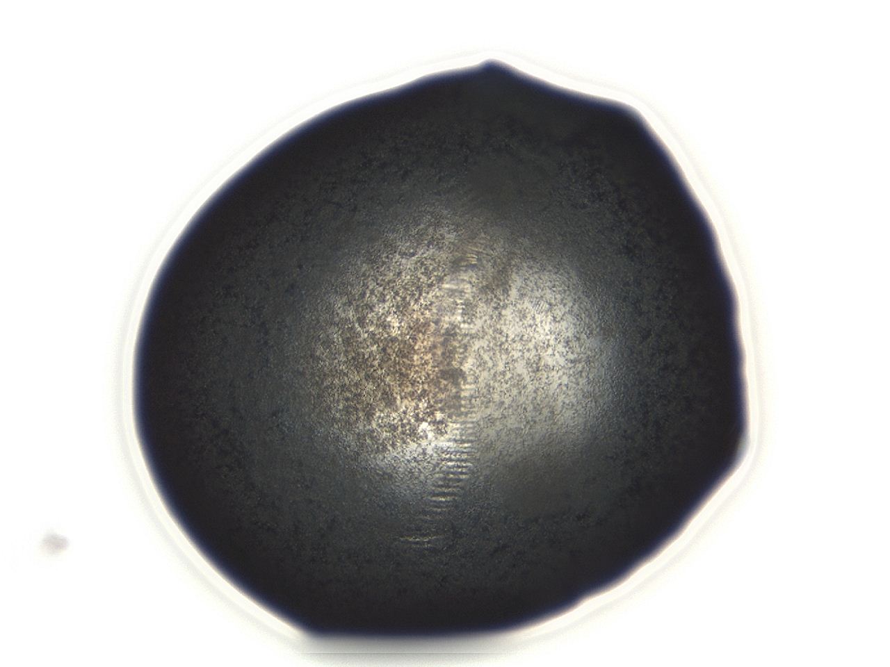04ew_D11_ImagerDefaults_3.jpg