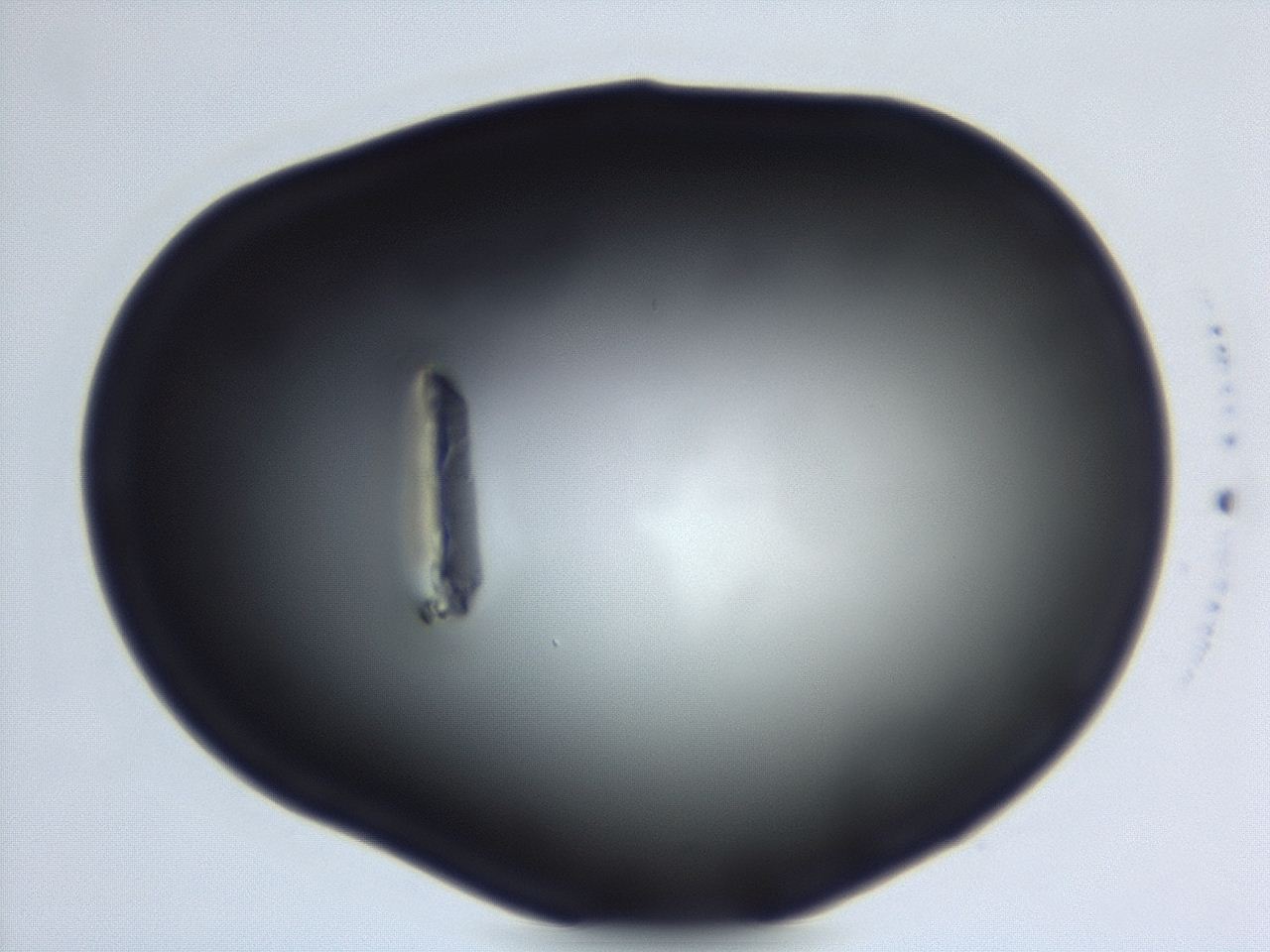 04ew_C1_ImagerDefaults_0.jpg