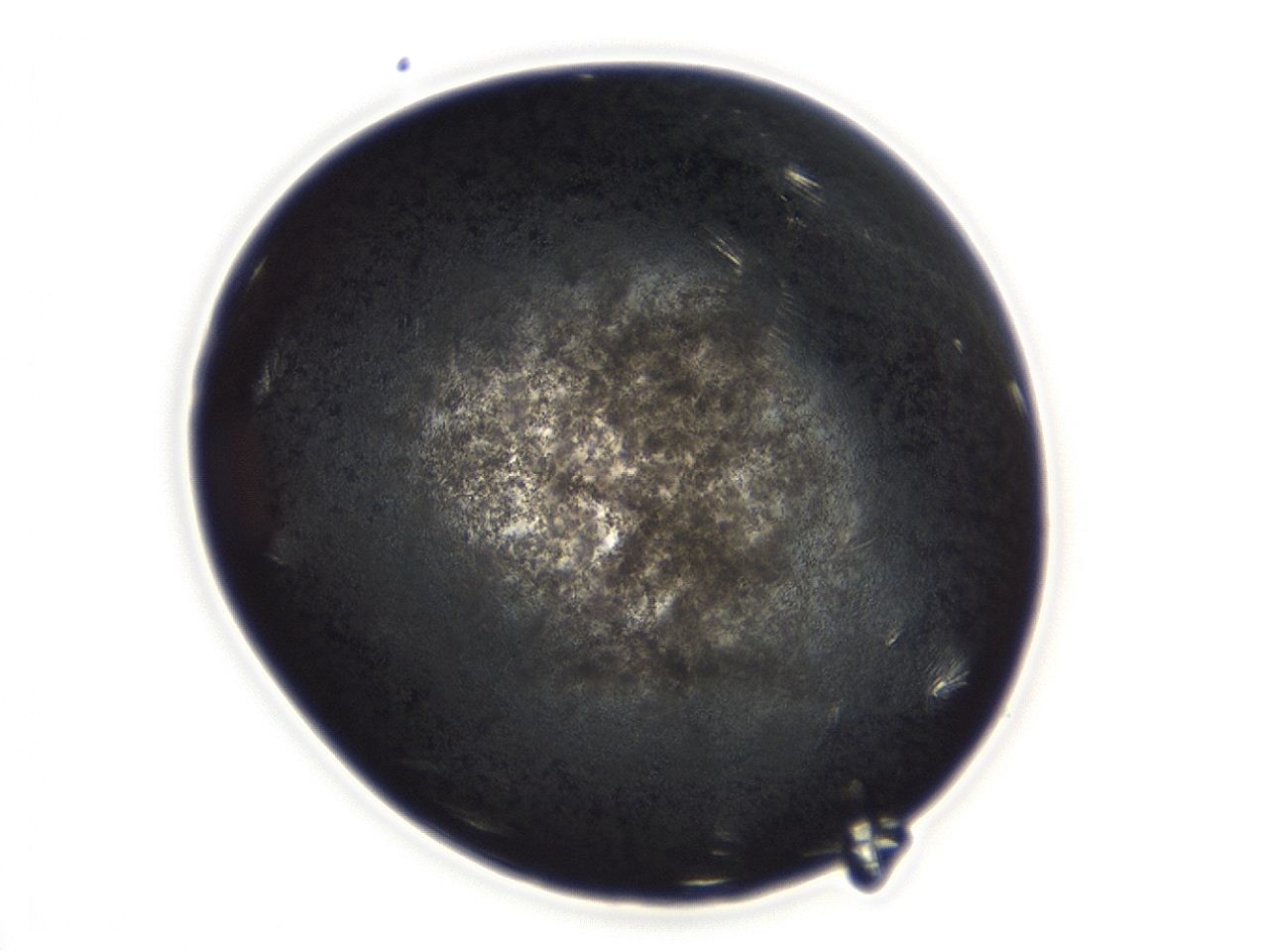 04ew_B12_ImagerDefaults_3.jpg