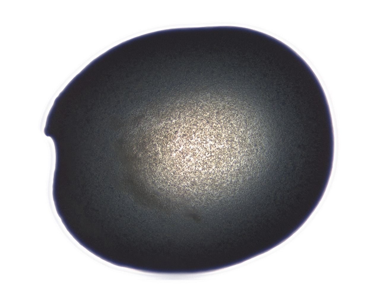 04ew_B8_ImagerDefaults_3.jpg