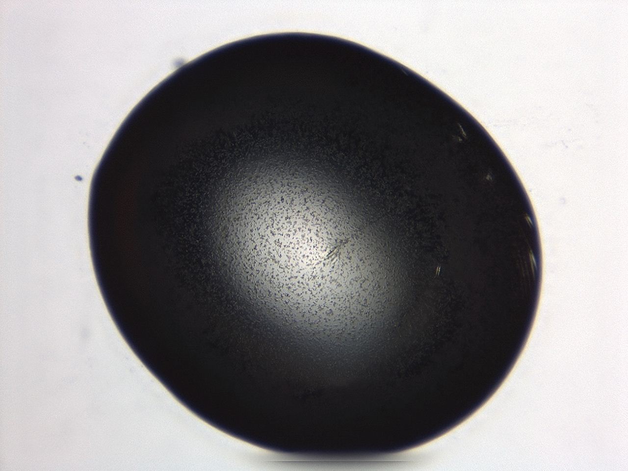 04ew_A12_ImagerDefaults_3.jpg