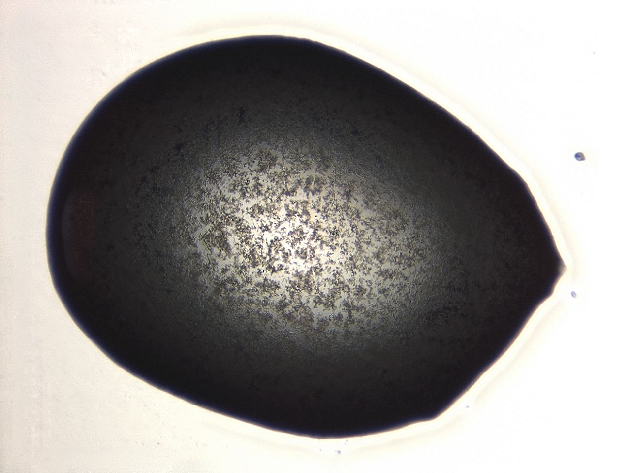 04ew_A11_ImagerDefaults_3.jpg