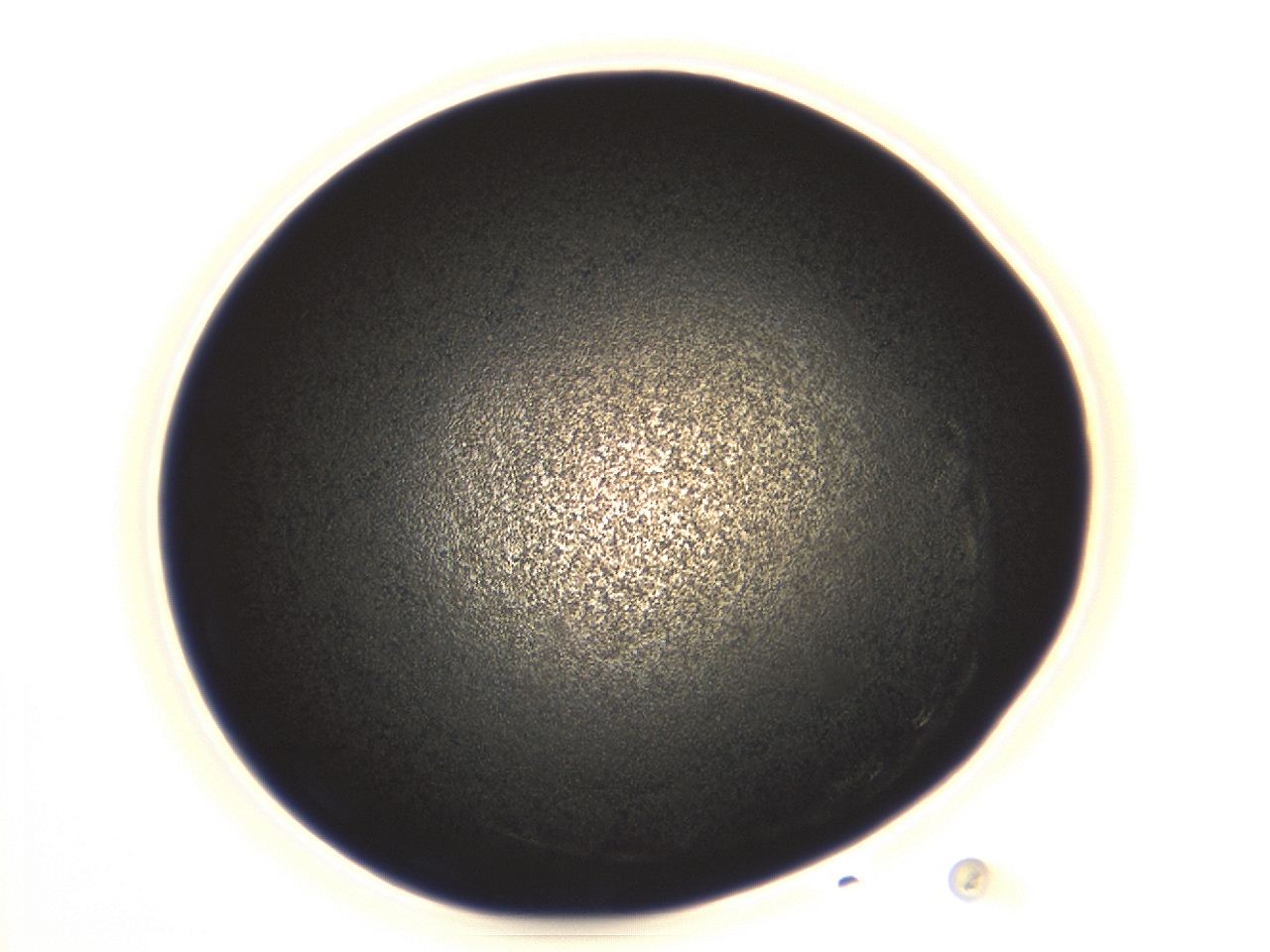04ew_A10_ImagerDefaults_3.jpg