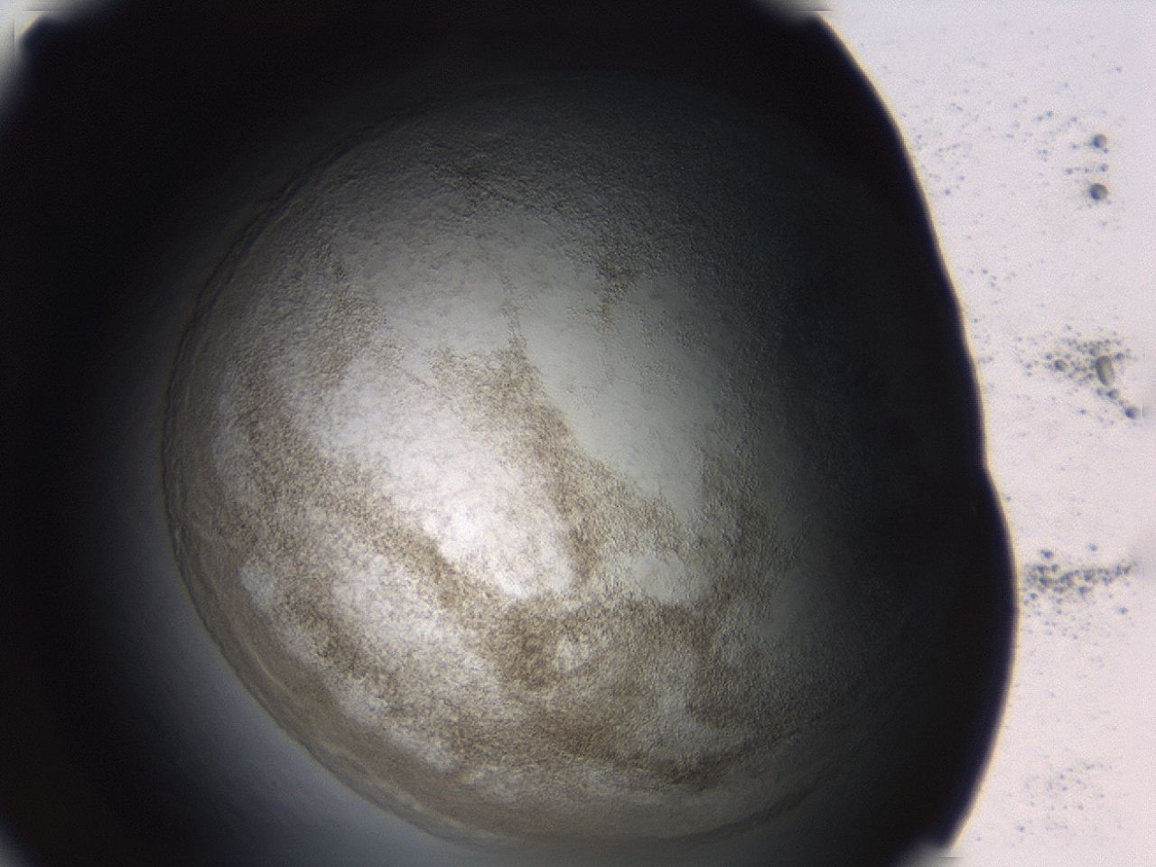 04ew_C2_ImagerDefaults_3.jpg