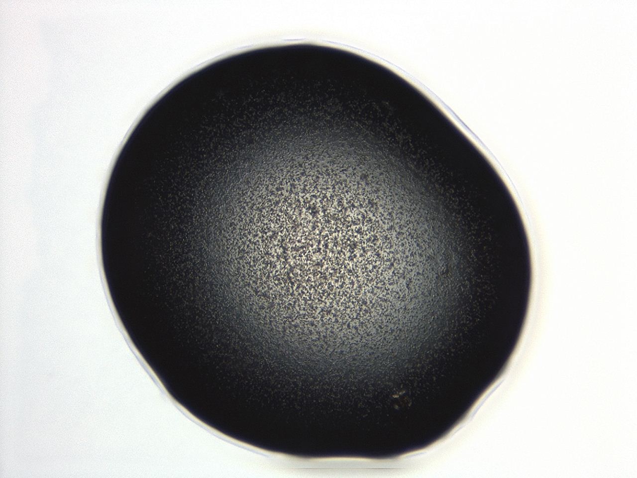 04ew_C8_ImagerDefaults_3.jpg