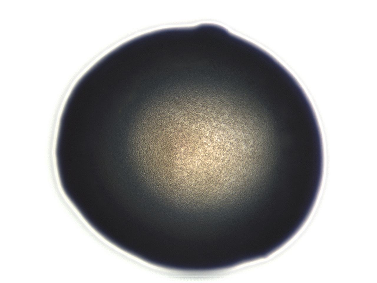 04ew_E12_ImagerDefaults_3.jpg
