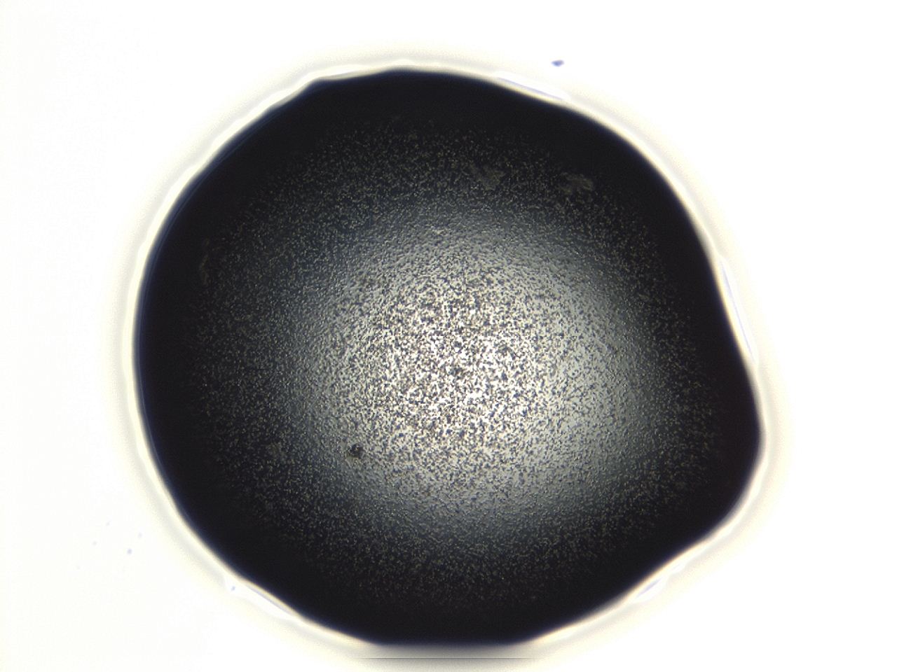 04ew_F3_ImagerDefaults_3.jpg