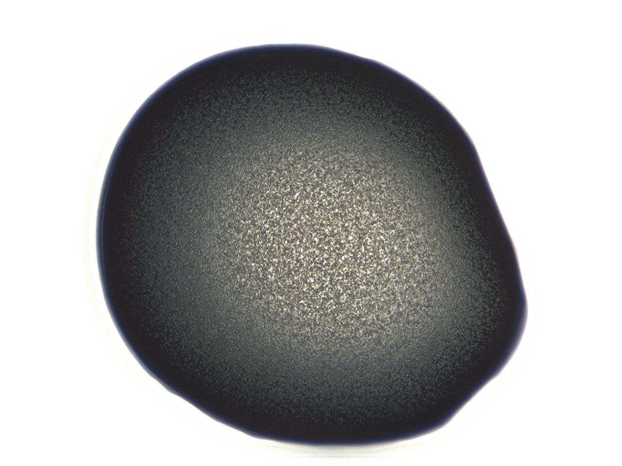 04ew_F9_ImagerDefaults_3.jpg