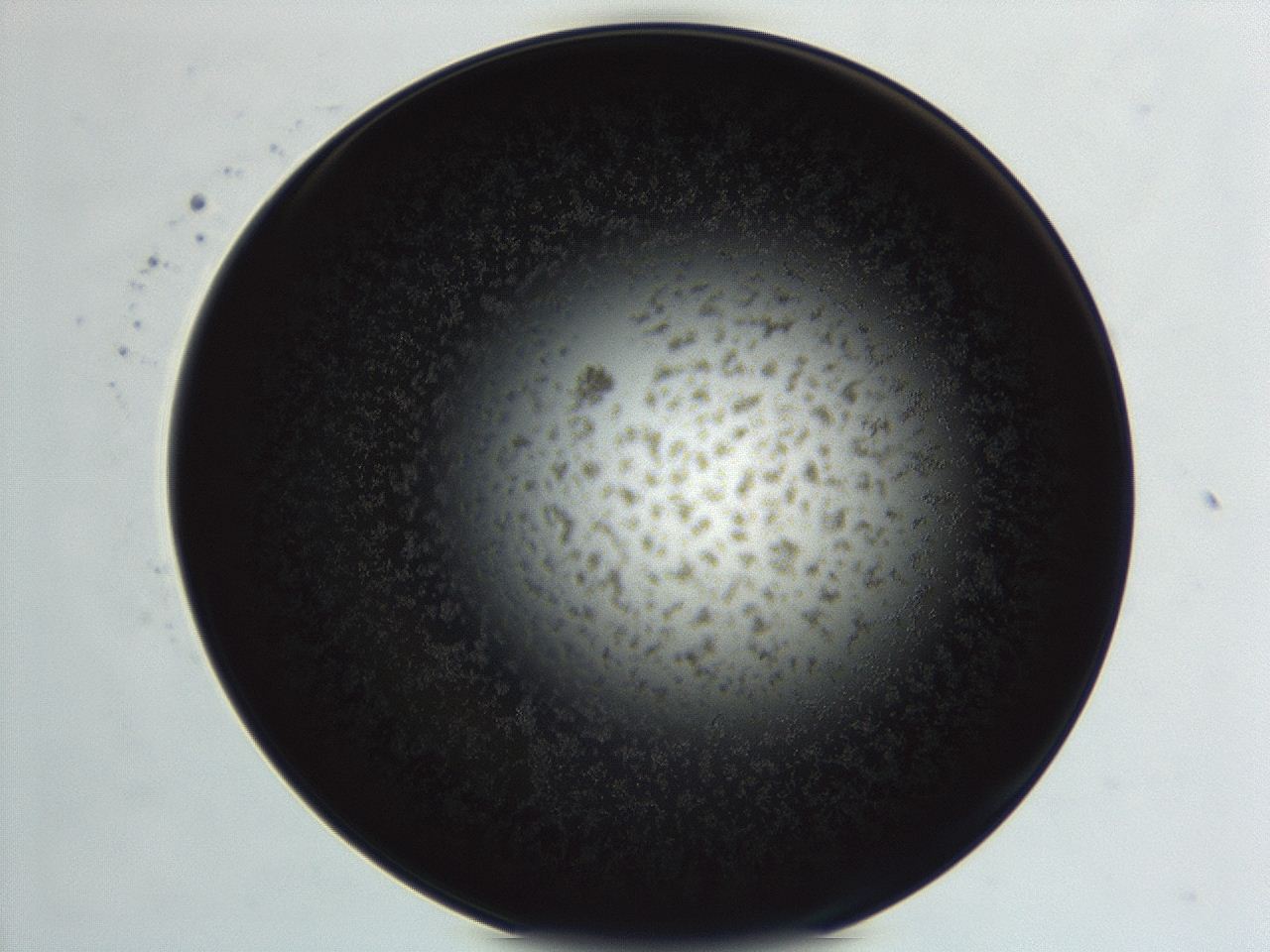04ew_F10_ImagerDefaults_3.jpg