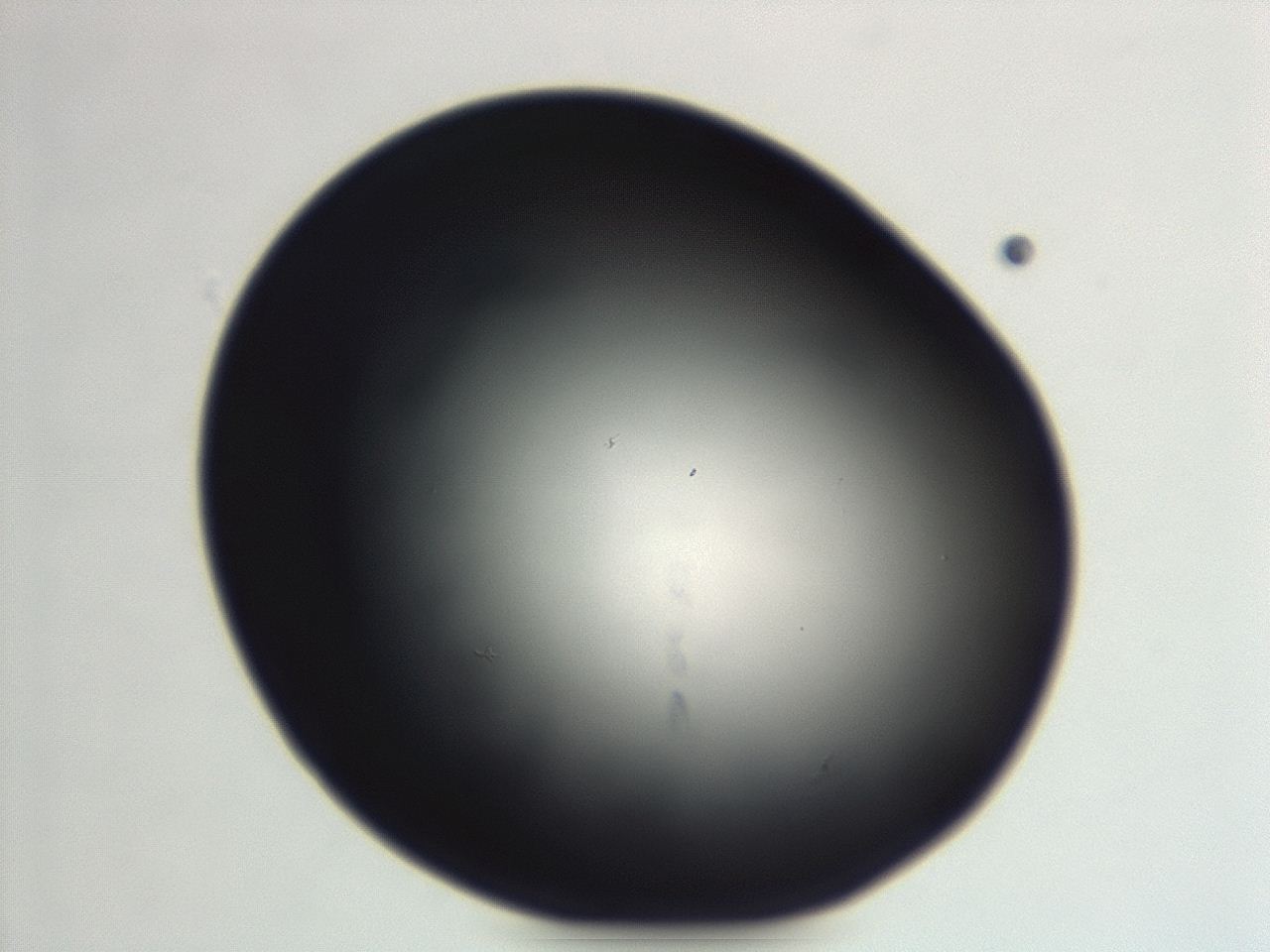 04ew_G1_ImagerDefaults_0.jpg
