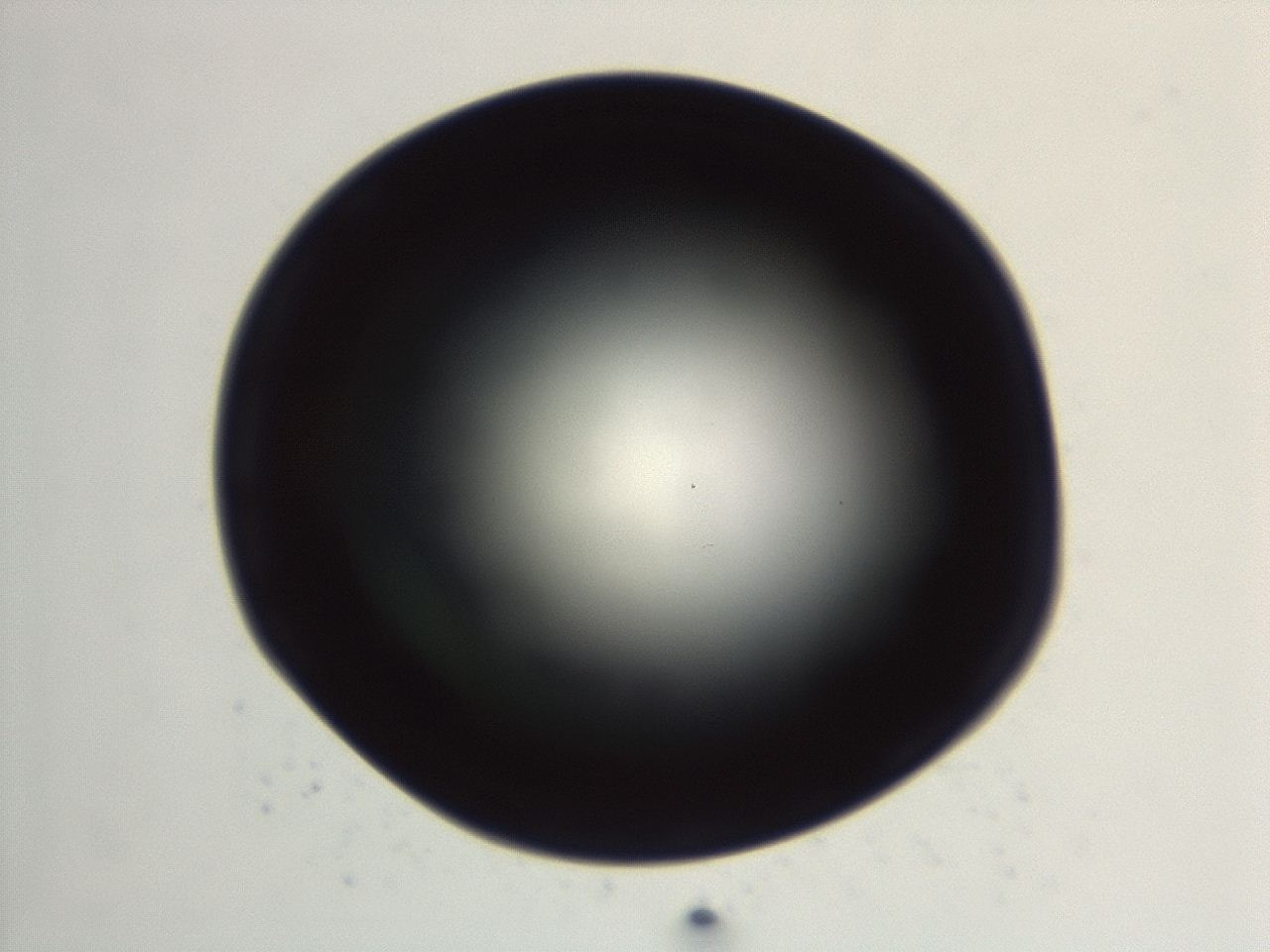 04ew_G9_ImagerDefaults_0.jpg