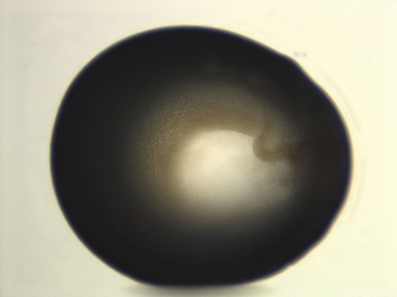 04ew_G10_ImagerDefaults_3.jpg
