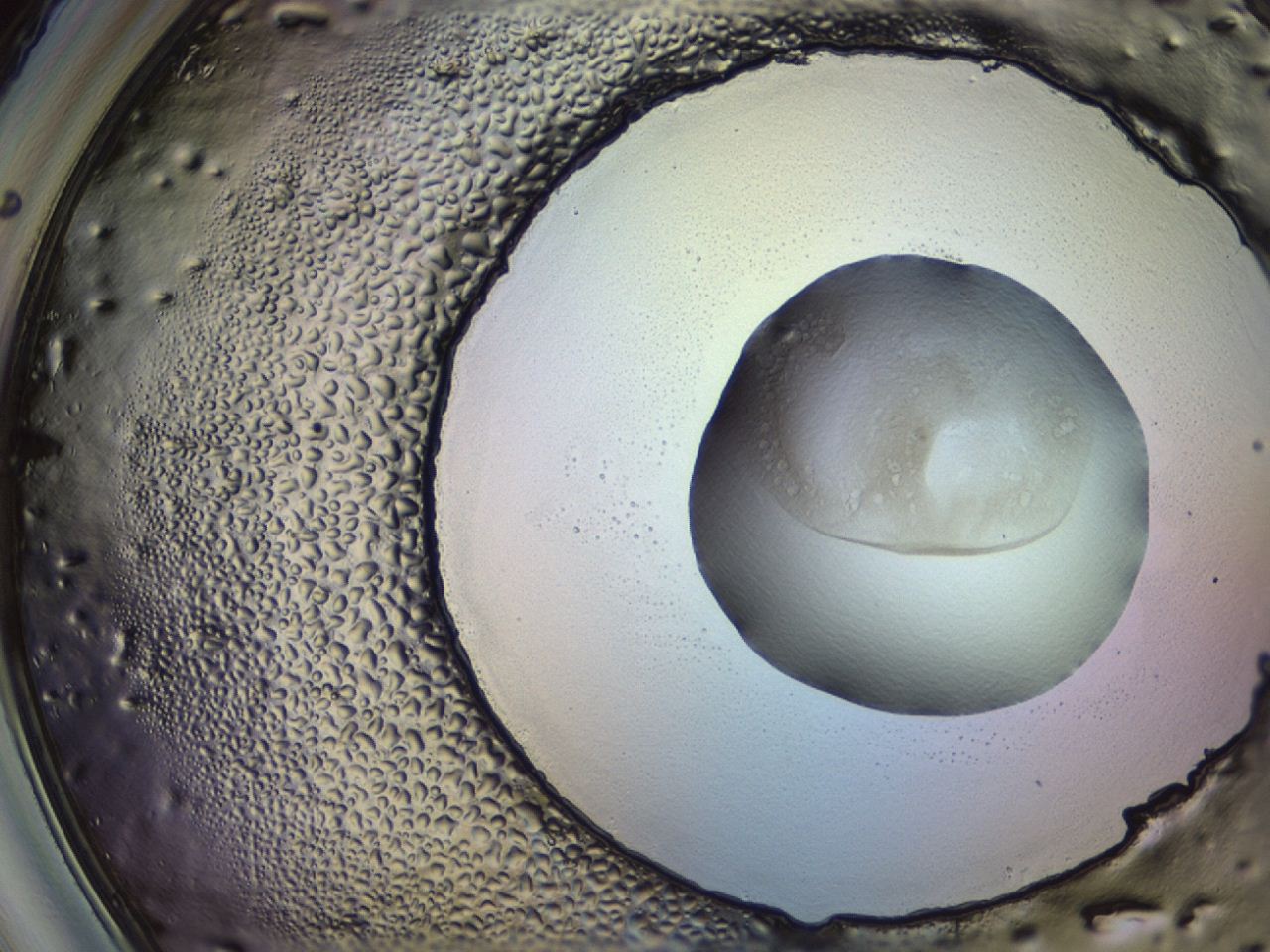 04ew_G11_ImagerDefaults_3.jpg