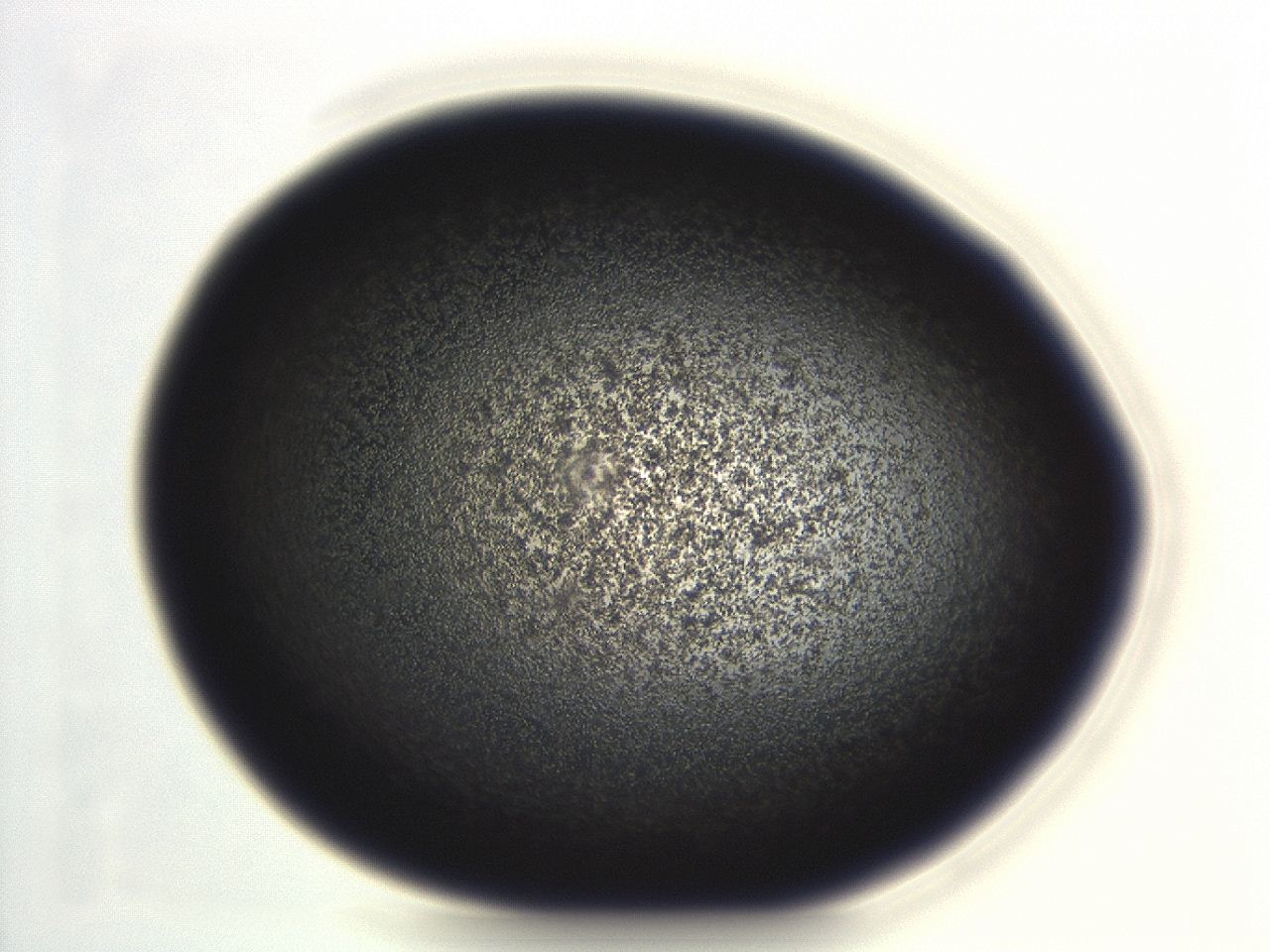 04ew_G12_ImagerDefaults_3.jpg