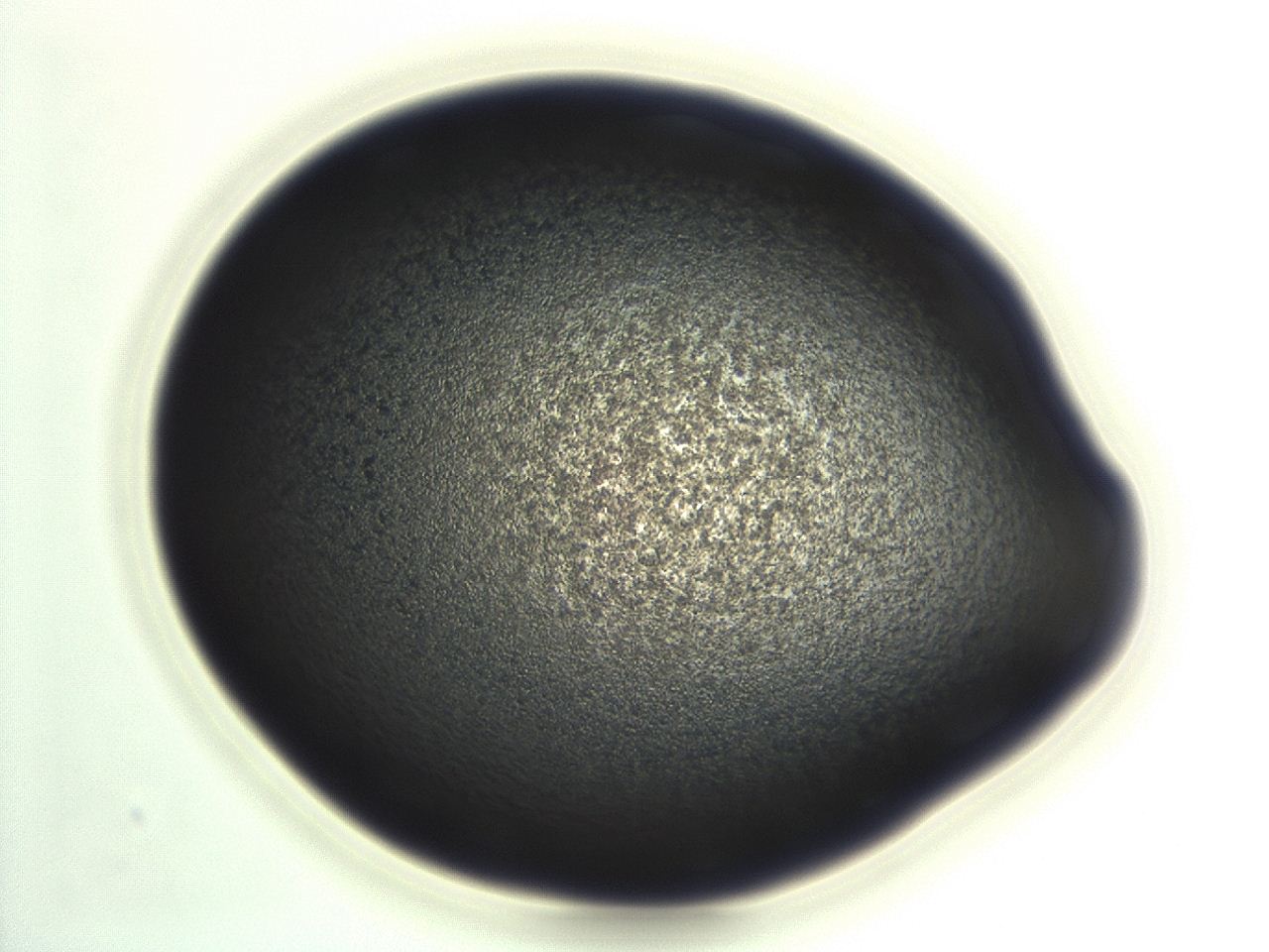 04ew_H11_ImagerDefaults_3.jpg