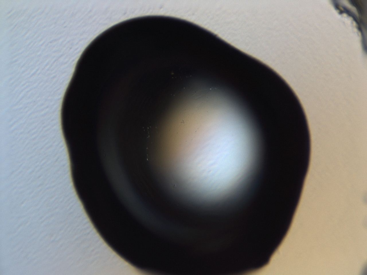 04ew_H12_ImagerDefaults_0.jpg