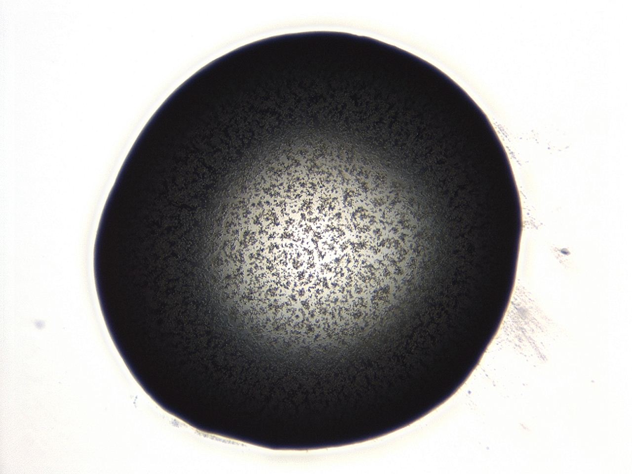04ex_A3_ImagerDefaults_3.jpg