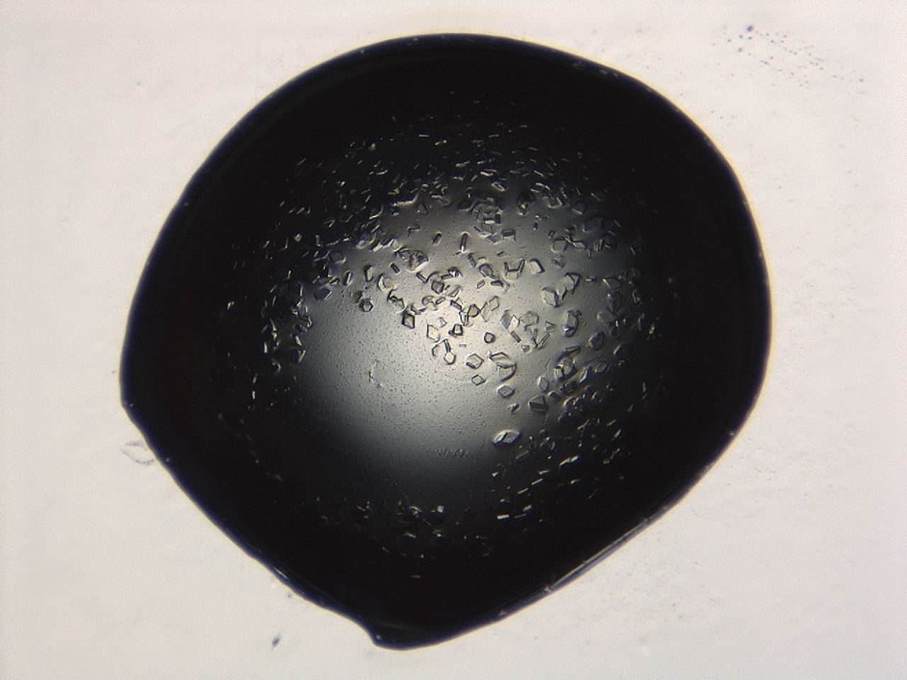 04ex_A6_ImagerDefaults_8.jpg